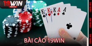 Bài Cào 19win